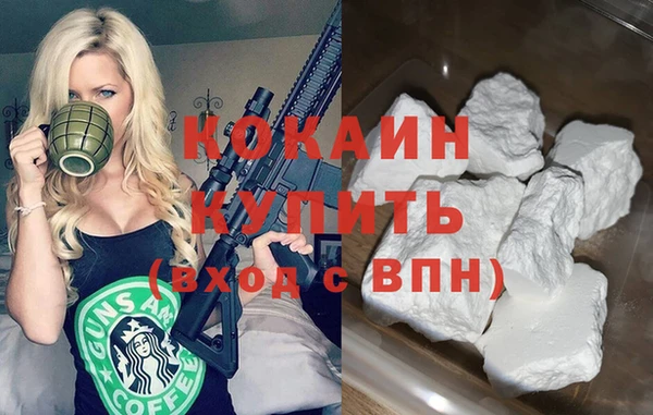 дживик Абаза