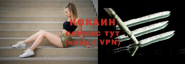 дживик Абаза