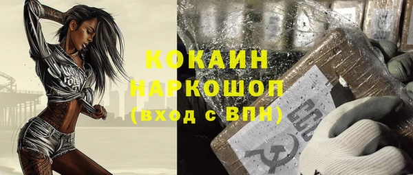 a pvp Няндома