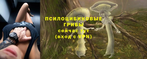 a pvp Няндома